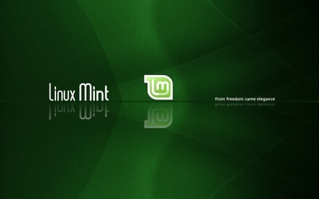 Agust Mint Casper Wide - tux, pc, linux, linux mint