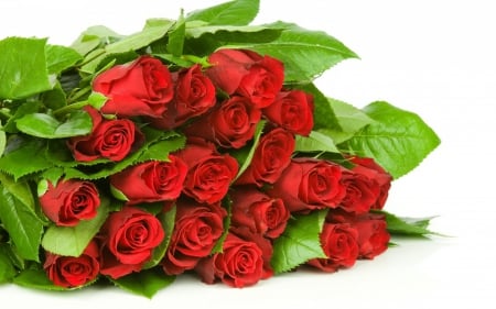 Red Bouquet - passion, romantic, red roses, with love, bouquet