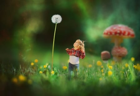 Little girl - mushroom, grass, little girl, dandelion