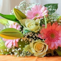 To dear friend Carmen