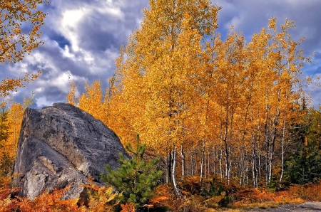 ✿⊱•╮╭•⊰✿ - trees, mountains, nature, autumn