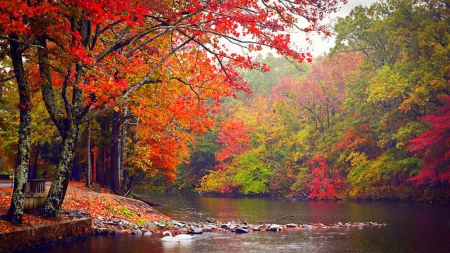 Autumn Enchantment - trees, attractions in dreams, rivers, creative pre-made, beautiful, photography, Little Rock AR, colors, stunning, nature, places, landscapes, love four seasons