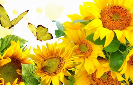 âœ¿âŠ±â€¢â•®Golden Gloriesâ•­â€¢âŠ°âœ¿ - autumn, sunflowers, animals, lovely, creative pre-made, bright, nature, love four seasons, fall, yellow, beautiful, colors, butterfly designs, flowers, butterflies