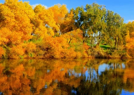 Autumn chords - autumn, lake, trees, water, chords, foliage, serenity, fall, yellow, reflection, river, beautiful, golden