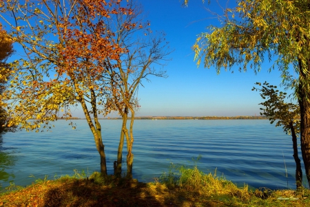 Autumn river - autumn, trees, water, shore, lovely, serenity, nature, view, fall, tranquil, river, beautiful, colors