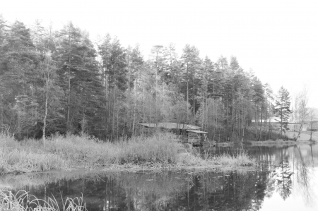 Frosty morning - morning, nature, frosty, pond