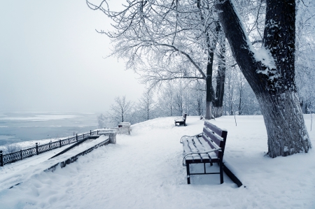 Winter - winter, snow, bench, tree, park