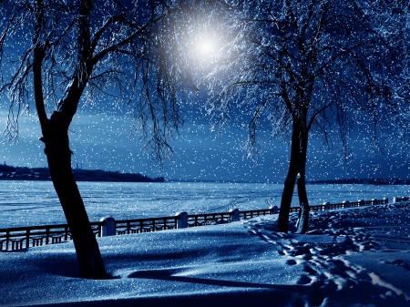 Winter - nature, snow, winter, night, tree