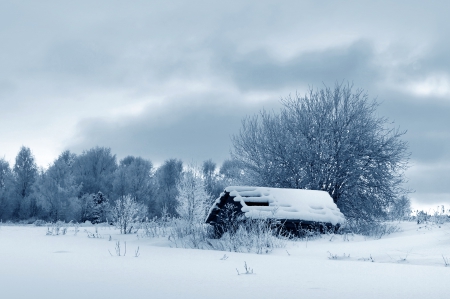 Winter - nature, snow, winter, tree, house