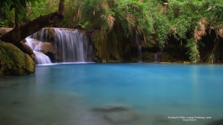 Tropical Waterfall - waterfalls, trees, tropical, nature