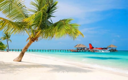 waterplane beach - summer, coast, blue, beach, plane, shore, SkyPhoenixX1, holiday, tropic, sky, sun, clouds, water, vacation, sea, sunshine, ocean, tree, pier, palm, nature, tropical, waterplane