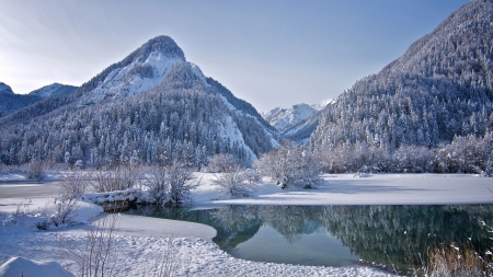 Mountains - Winter - winter, mountains, lake, forest