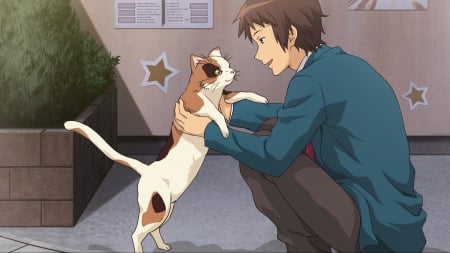 Are You A Stray? - Stray, Cat, Wallpaper, The Melancholy of Haruhi Suzumiya, Anime Guy, Anime, Kyon