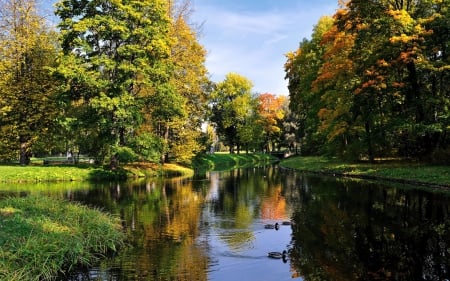 Pond in Beautiful Park - trees, nature, ponds, landscapes, parks