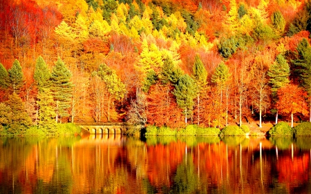 Autumn reflection - lake, autumn, trees, foliage, serenity, fall, forest, reflection, tranquil, mirror, beautiful, colors