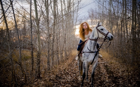 Autumn Ride - fall, horse, cowgirl, leaves, woods, trees, autumn