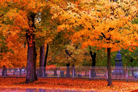 Bishop Hill, Illinois - fall, trees, autumn, colors, leaves