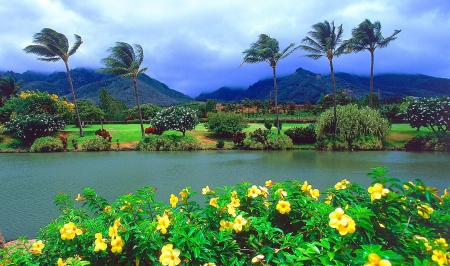  The Nature Charming - nature, flowers, trees, river