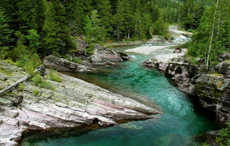 River between the forest - nature, forest, trees, river