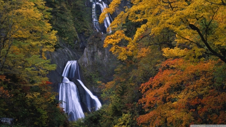 Spectecular waterfall - autumn, landscape, stream, water, wallpaper, waterfall, hd, nature, fall, forest, river, scene