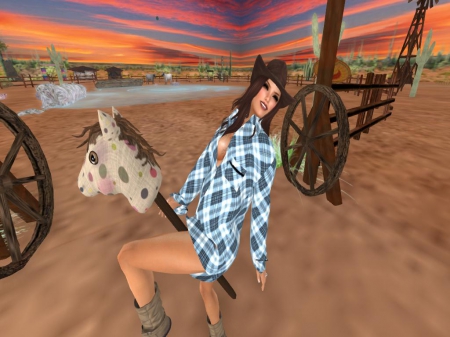 Ride'em Cowgirl - pony, boots, hat, cowgirl