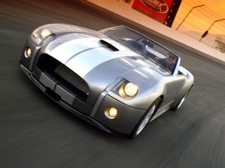 ford shelby cobra concept - cobra, shelby, ford, concept