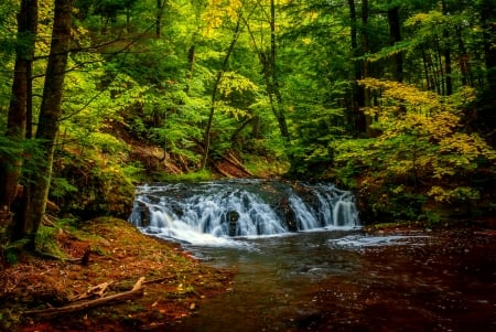 Early autumn in the forest - early, autumn, trees, stream, creek, serenity, foliage, nature, fall, river, beautiful