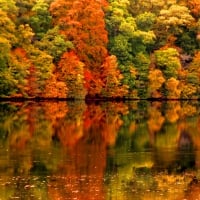 Autumn mirror