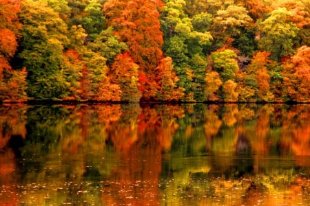 Autumn mirror - trees, beautiful, colors, forest, lovely, reflection, lakeshore, calmness, fall, shore, nature, mirror, tranquility, autumn, serenity, lake