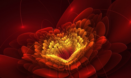 3d Flower - red, 3d, flower, petals, line