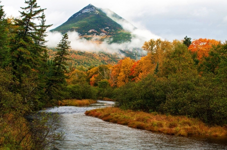 Autumn River - fall, trees, mountain, water, leaves, colors