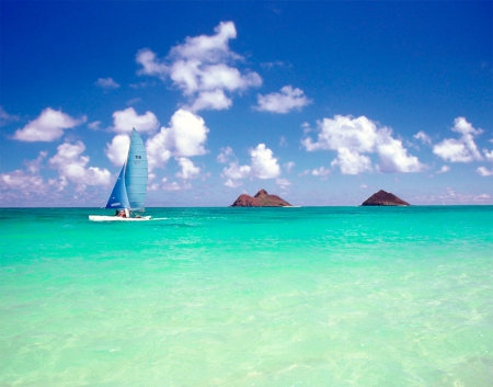 Sailing in Aqua-Colored Ocean - oceans, nature, sky, clouds, blue, sailboat, sea