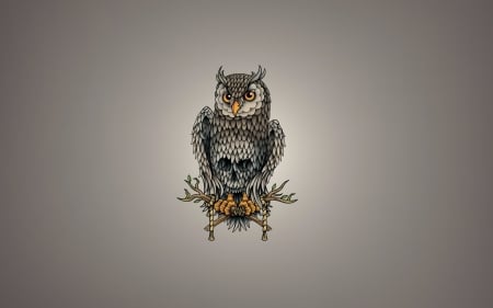 Owl - owl, bird, abstract, skull