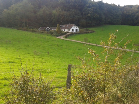 House in the countryside - abstract, house, trees, fields, photography, grass, tree, countryside, nature, green, greenhouse, farm