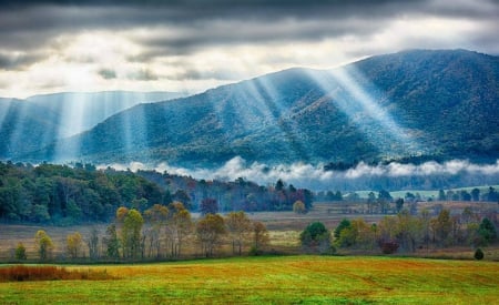 Smoky Mountains - autumn, sunrays, forest, smoky mountain