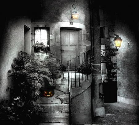 Halloween night - halloween, picture, wallpaper, color, new