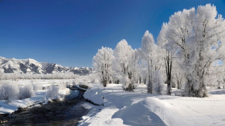 Winter Landscape - nature, trees, snow, winter, rivers, landscapes