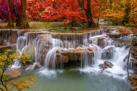 Waterfall - fall, forest, waterfall, autumn