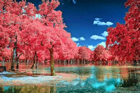 Wavy Park - trees, pink, clouds, blue, beautiful, lagoon, water, park