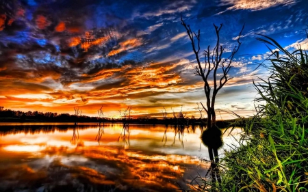 Lake Reflection - sky, lake, water, reflection, clouds, trees, nature