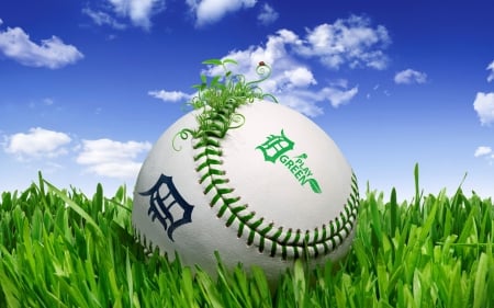 baseball - cloud, grass, baseball, sky