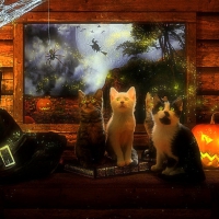 Halloween Cute Cats