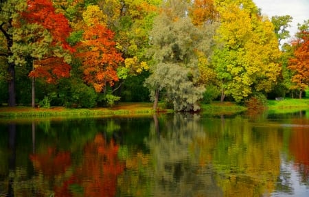 Autumn park - forest, fall, beautiful, serenity, lake, reflection, trees, nature, colors, park, autumn