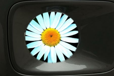 flower - flower, car, retro, black