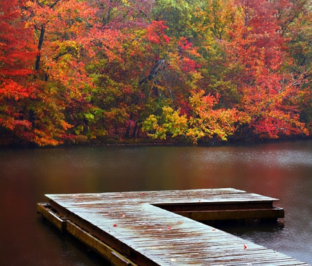 Autumn Serenity - attractions in dreams, autumn, places, trees, photography, stunning, creative pre-made, nature, autumn beauty, love four seasons, fall, beautiful, leaves, rivers, landscapes