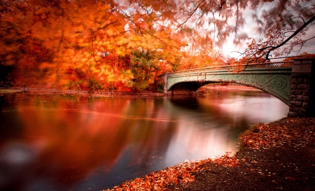 Autumn Bridge - autumn, bridge, reflection, river