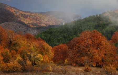 Autumn - forest, mountains, amazing, autumn