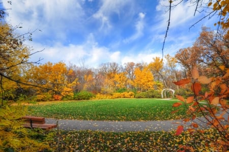 * Autumn park * - trees, nature, park, sky