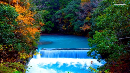 Waterfall in Autumn Forest - waterfalls, autumn, forests, trees