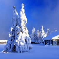 Beautiful Winter Landscape